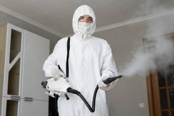 Mold Removal for HVAC Installations in Carthage, IL